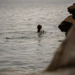 Womens Nikki Van Dijk Bikini Cut 1mm Front Zip Springsuit Wetsuit -Watersports Outlet Sales Shop 45826 120mm20Springsuit20Bikini20Cut20Front20Zip20Moon202010.700x700